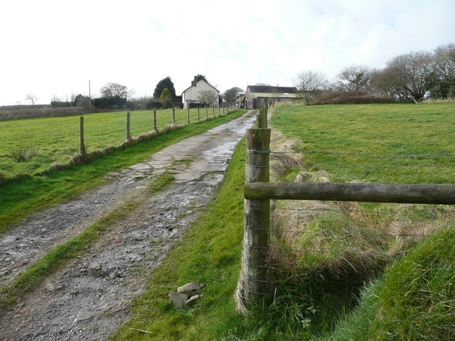 Track to Tinney Moor Farm Pasture land predominates around here.