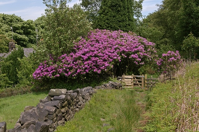 Foto "Brinscall" de Mr T (CC BY-SA) / Recortada de la original