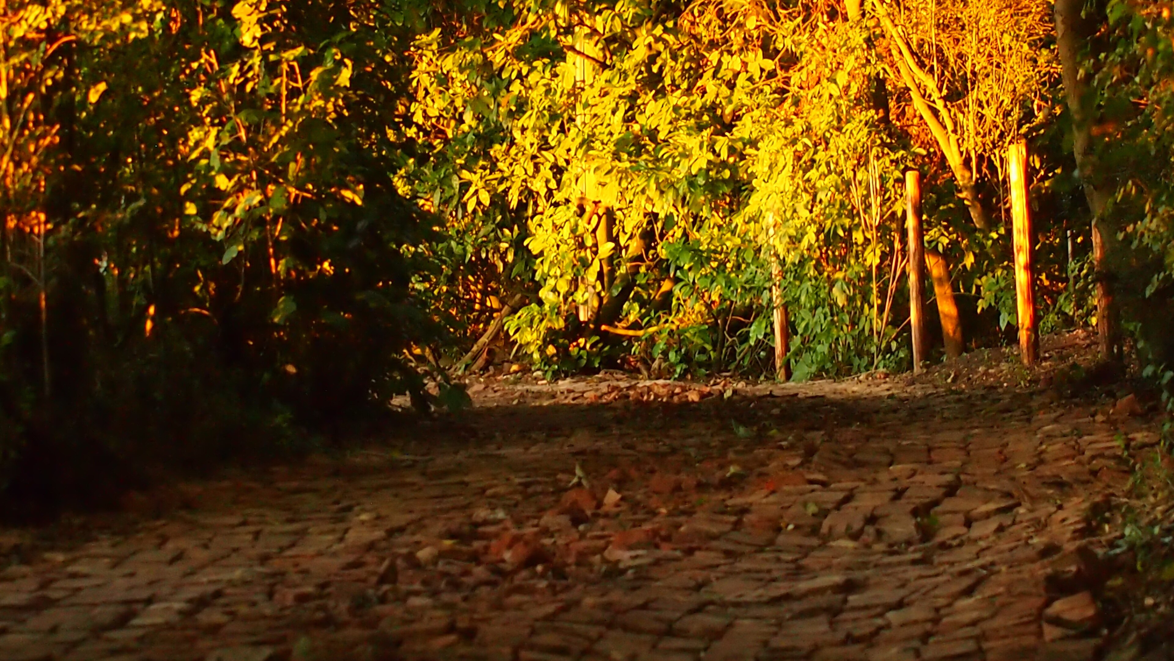 Foto "Norton Juxta Kempsey" de Kevin Woodcock (CC BY) / Recortada do original