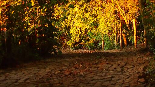 Foto "Norton Juxta Kempsey" de Kevin Woodcock (CC BY) / Recortada do original