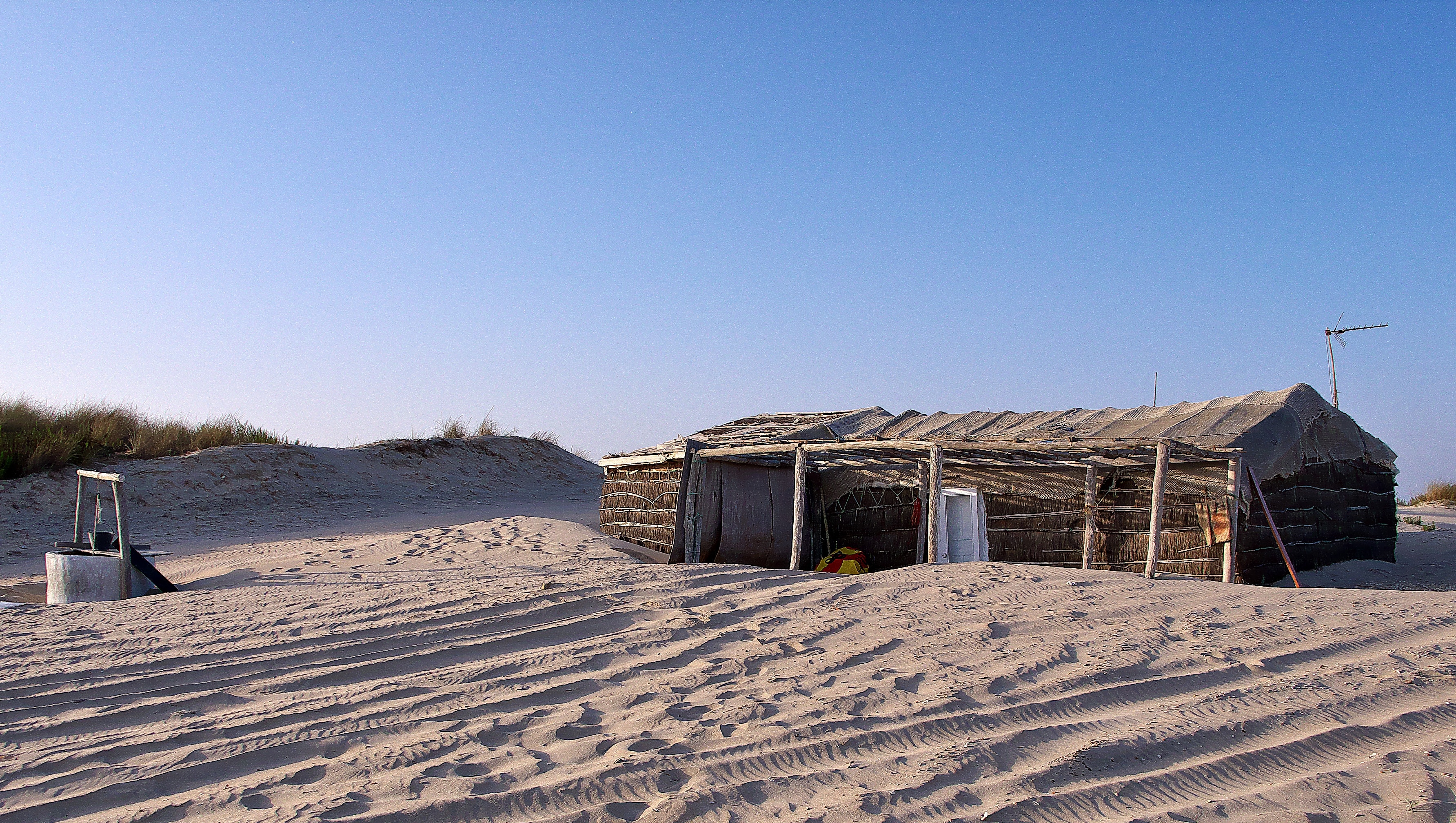 Photo "Doñana National Park" by José Luis Filpo Cabana (CC BY) / Cropped from original
