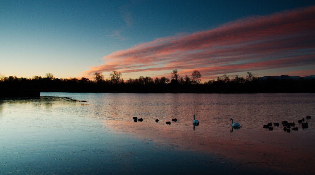 Photo "Duddingston" by Magnus Hagdorn (CC BY-SA) / Cropped from original