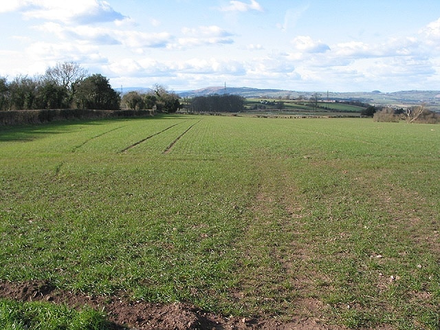 Farmland north of Welsh Newton With long views from this vantage point.