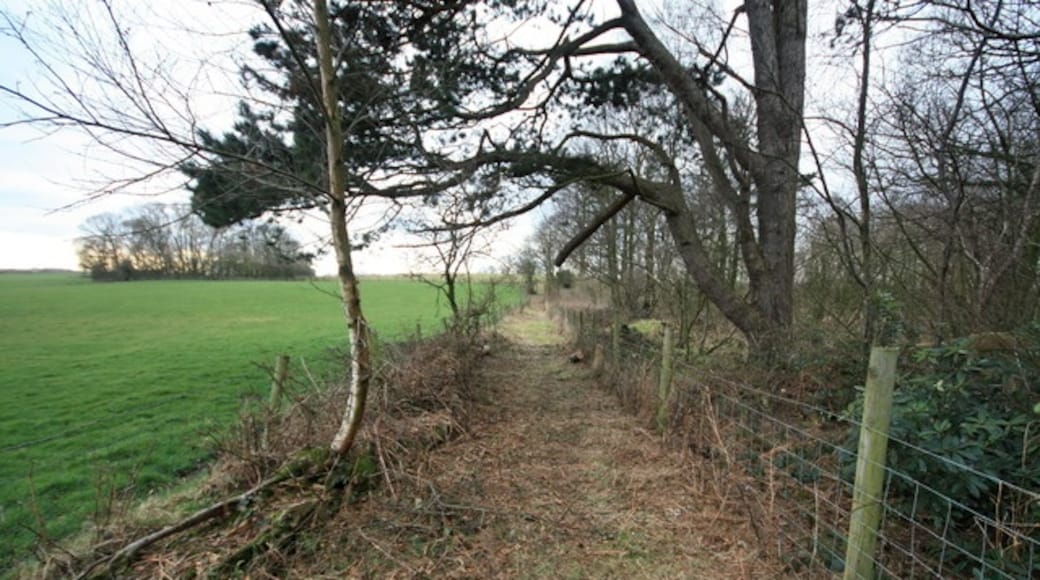 Photo "Winmarleigh" by Bob Jenkins (CC BY-SA) / Cropped from original