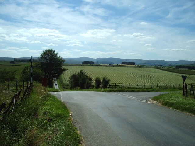 Foto “Newby” tomada por Alexander P Kapp (CC BY-SA); recorte de la original