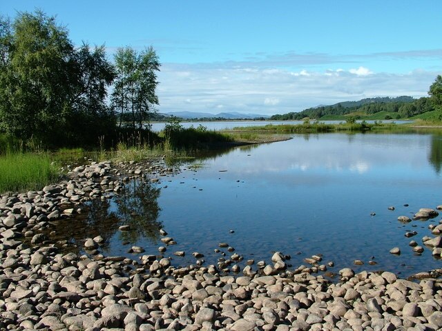 Summer morning at Kincraig