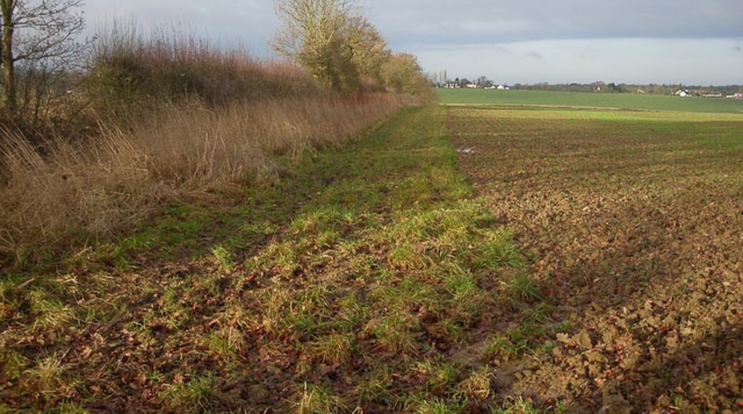 "Carlton"-foto av Hugh Venables (CC BY-SA) / Urklipp från original