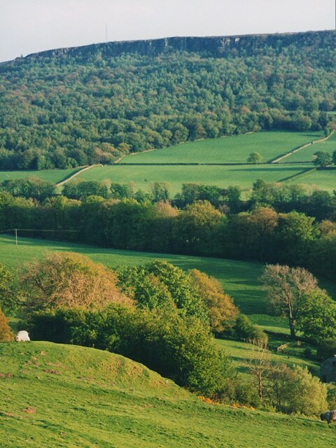 Foto “High y Low Bishopside” tomada por Stephen Craven (CC BY-SA); recorte de la original