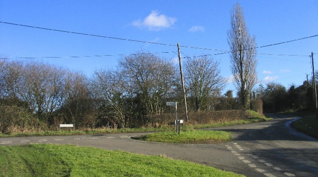 Kuva ”Mashbury” käyttäjältä John Winfield (CC BY-SA) / rajattu alkuperäisestä kuvasta