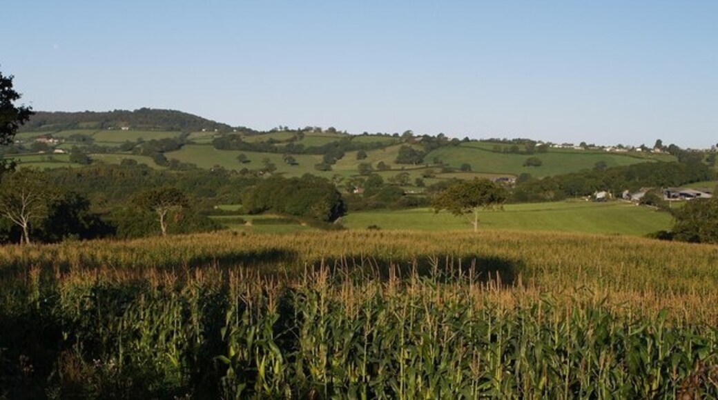 Foto "Bettiscombe" de Derek Harper (CC BY-SA) / Recortada do original