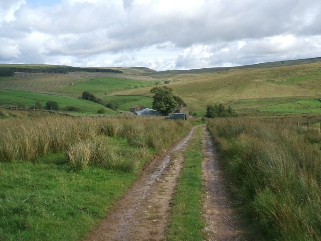 Photo "Kaber" by David Brown (CC BY-SA) / Cropped from original