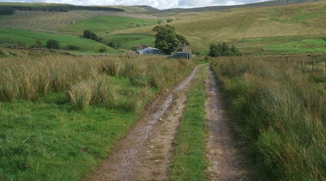 Photo "Kaber" by David Brown (CC BY-SA) / Cropped from original