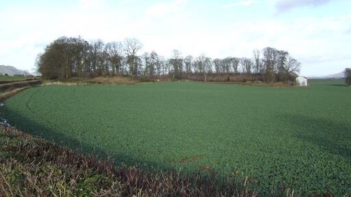 "Tyberton"-foto av Jonathan Billinger (CC BY-SA) / Urklipp från original