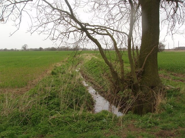 "Colton"-foto av Robert Neilson (CC BY-SA) / Urklipp från original