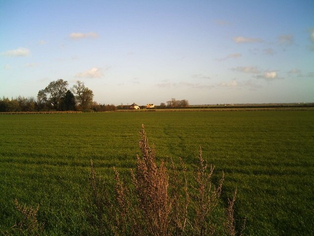 Car Dyke Farm from disused railway track This view is from where the footpath crosses the disused railway track ( which used to link Bourne with Hacconby, Rippingale and so-on northwards, more than 40 ears ago). The present-day footpath has been used for generations of farm workers who used it to walk to the farm from Morton village in the days of horses not tractors. The route passes over an autumn-sown cereal crop.