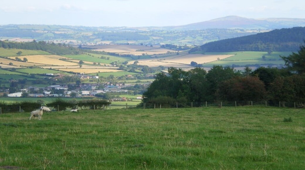 Photo "Sibdon Carwood" by Richard Law (CC BY-SA) / Cropped from original