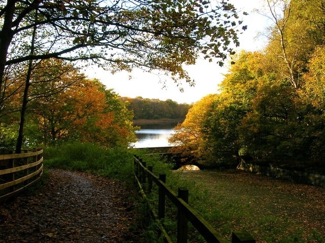 Autumn Splendour An autumnal scene by Upper Rivington Reservoir