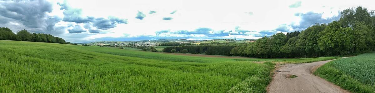 Photo "Blick auf Eiweiler" by LoKiLeCh (Creative Commons Attribution 3.0) / Cropped from original