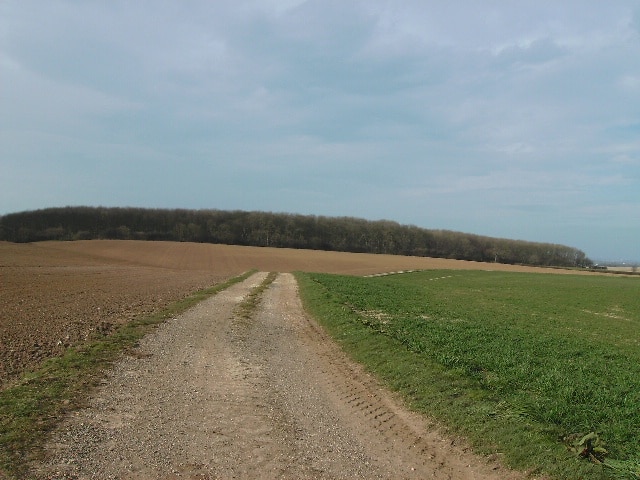 Photo "Beelsby" by John Beal (CC BY-SA) / Cropped from original