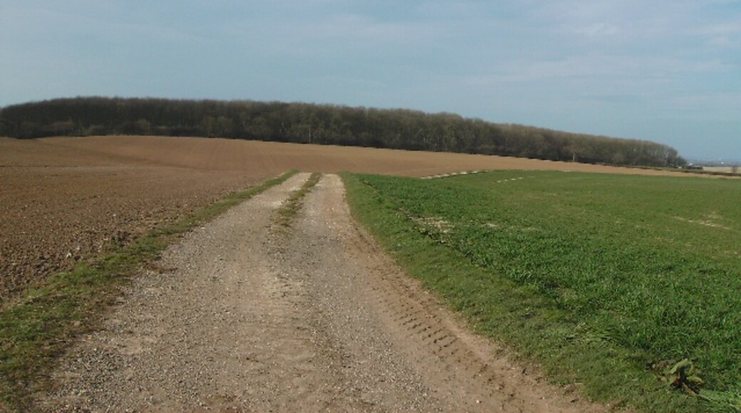 Photo "Beelsby" by John Beal (CC BY-SA) / Cropped from original