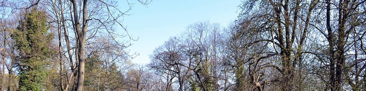 Photo "Braunschweig: Der Magnifriedhof" by Benutzer:Brunswyk (Creative Commons Attribution-Share Alike 3.0 de) / Cropped from original