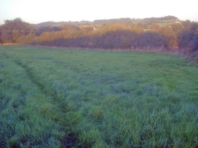 Meadow near Scott's Mill Looking east across lush grassland to Bencroft Hill. The public footpath here is little used and it is easier just to follow the hedge line than cut across the field.