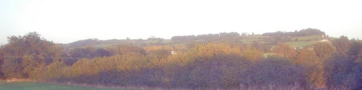 Photo "Meadow near Scott's Mill Looking east across lush grassland to Bencroft Hill. The public footpath here is little used and it is easier just to follow the hedge line than cut across the field." by Trevor Rickard (Creative Commons Attribution-Share Alike 2.0) / Cropped from original