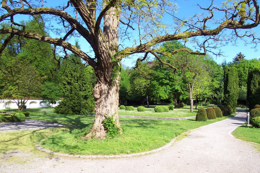Hofgarten