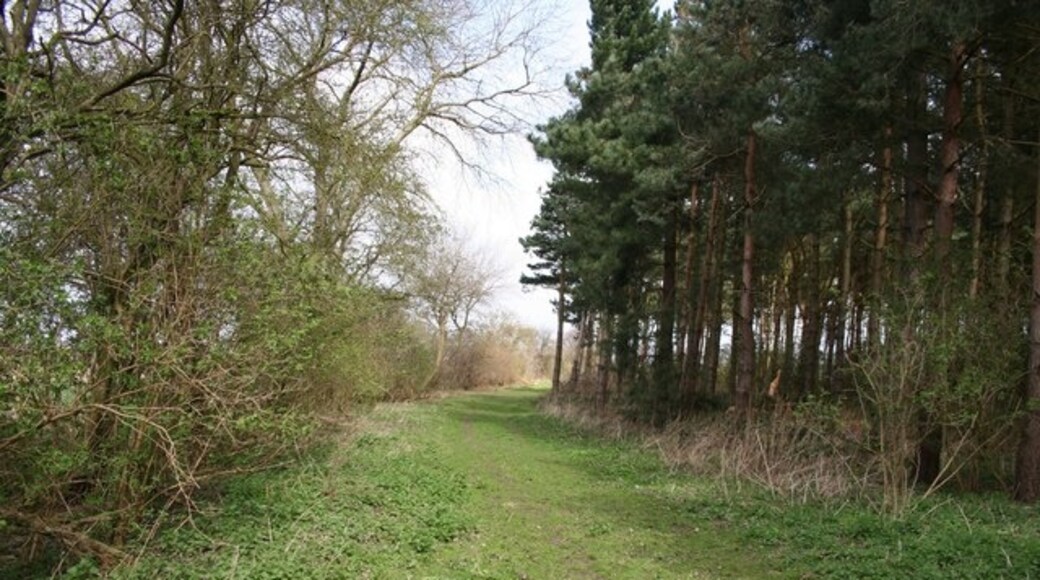 Billede "Minting" af Richard Croft (CC BY-SA) / beskåret fra det originale billede