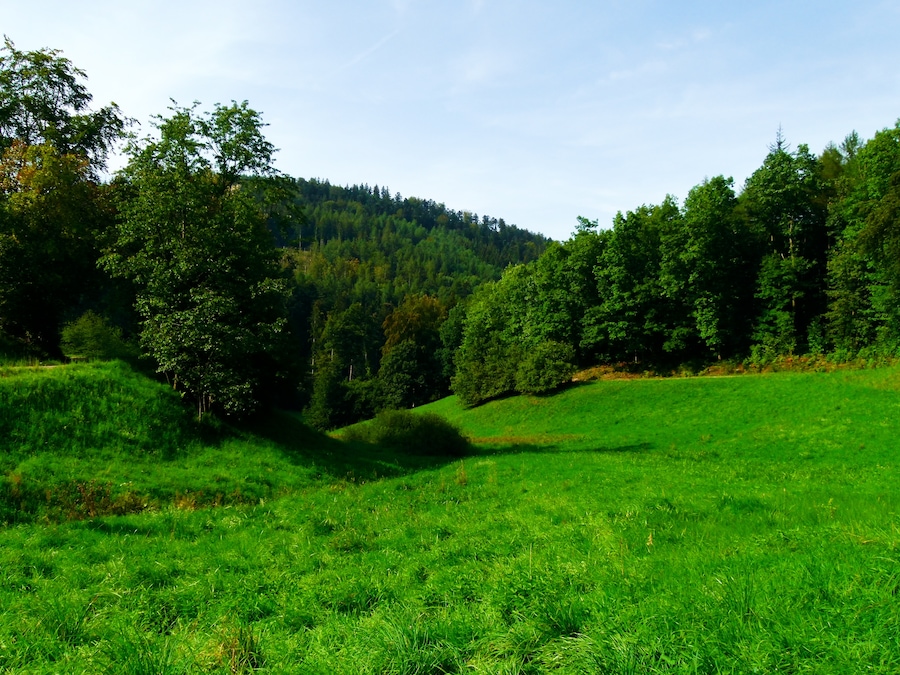 Green Valley