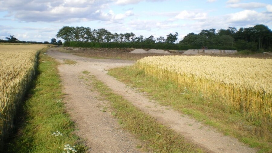 Photo "Track junction on Cranmoor A junction of farm tracks in the middle of a series of wheatfields. The copse marked just north of this track junction no longer exists, in fact I think the remains of the oaks can be seen in the middle distance here, just beyond the piles of aggregate. The copse is now a wheatfield." by Richard Law (Creative Commons Attribution-Share Alike 2.0) / Cropped from original