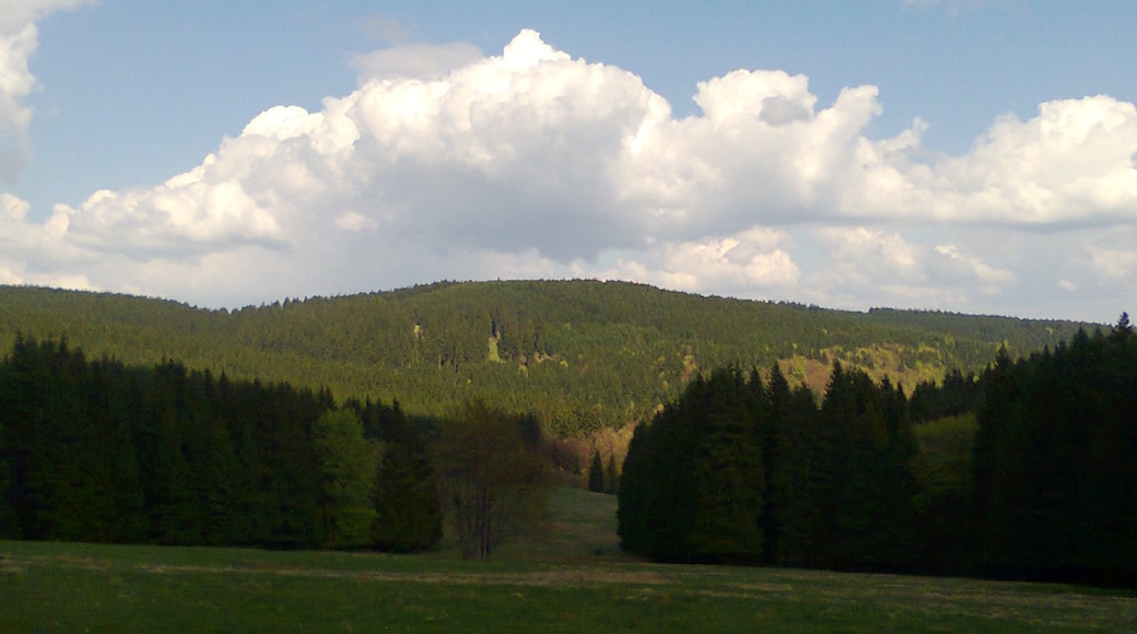 Foto „Neustadt am Rennsteig“ von Gaertner090468 (CC BY-SA)/zugeschnittenes Original