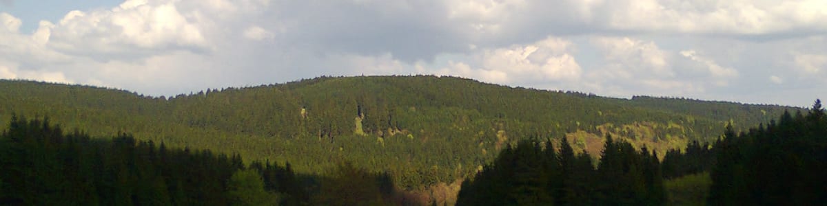 Photo "Der Reischelberg bei Neustadt am Rennsteig" by Gaertner090468 (Creative Commons Attribution-Share Alike 3.0) / Cropped from original
