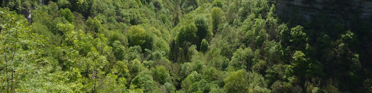 Photo "The start of the Louegorge with a high road climbing to the plateau, magnificent panoramas" by Henk Monster (Creative Commons Attribution 3.0) / Cropped from original