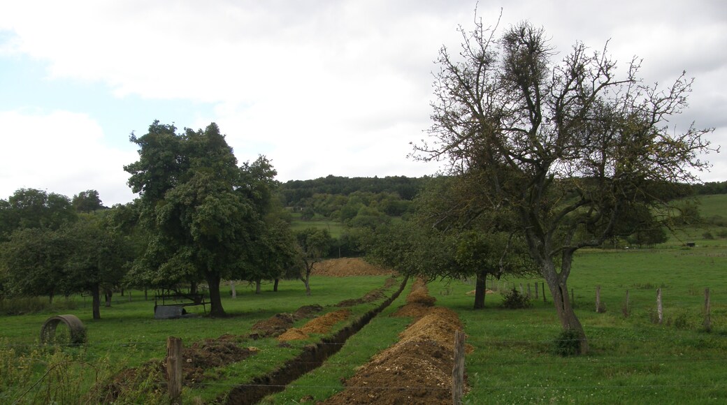 Photo "Réville-aux-Bois" by PC 055 428 13 C0002 (page does not exist) (CC BY-SA) / Cropped from original