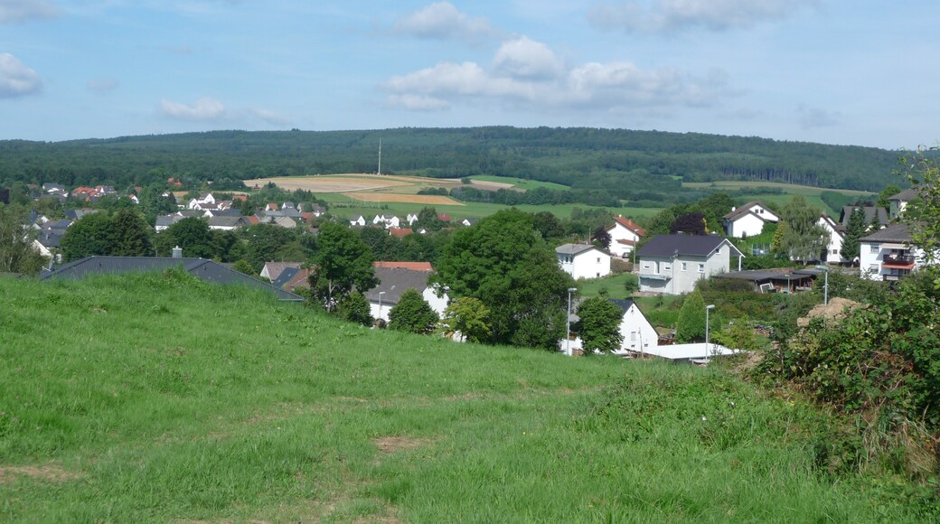 Photo "Brücken" by giggel (CC BY) / Cropped from original