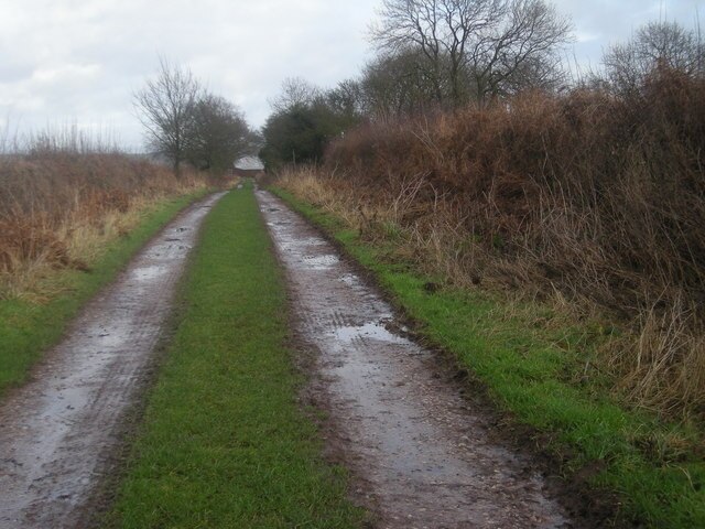 "Clive"-foto av Row17 (CC BY-SA) / Urklipp från original