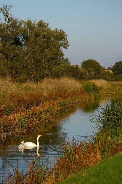 ภาพ "นอร์ทสติฟฟอร์ด" โดย Glyn Baker (CC BY-SA) / ตัดภาพจากขนาดต้นฉบับ