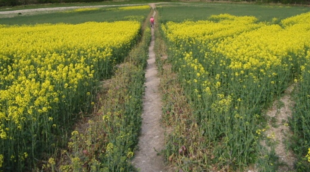 Ảnh "Wye with Hinxhill" của Nick Smith (CC BY-SA) / Cắt từ ảnh gốc