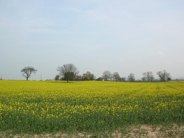 Photo "Catton" by DS Pugh (CC BY-SA) / Cropped from original