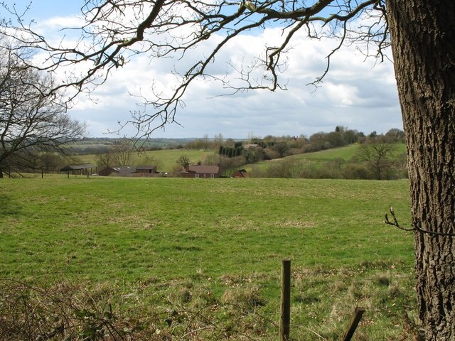 Photo "Soulbury" by Martin Addison (CC BY-SA) / Cropped from original