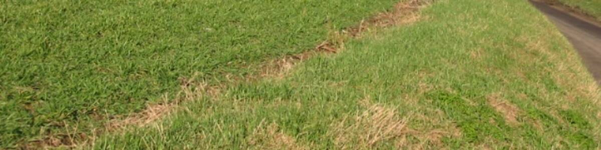 Photo "Beacon Hill from Pixwell Point" by Nick Smith (Creative Commons Attribution-Share Alike 2.0) / Cropped from original