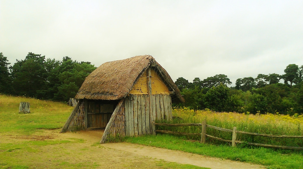 West Stow Country Park and Anglo Saxon Village, Bury St Edmunds, England, United Kingdom