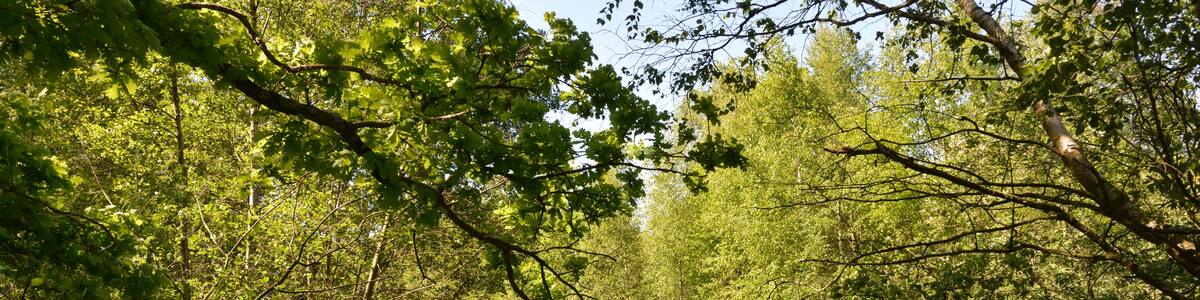 Photo "This is a picture of the protected area listed at WDPA under the ID" by Nightflyer (Creative Commons Attribution-Share Alike 4.0) / Cropped from original
