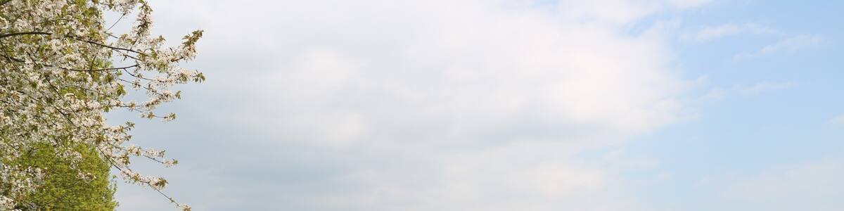 Photo "Wißmar" by Gerold Rosenberg (Creative Commons Attribution-Share Alike 3.0) / Cropped from original