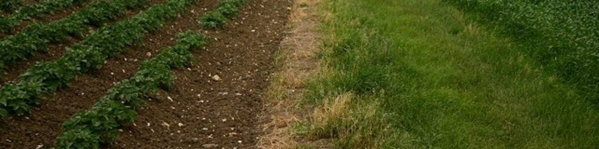 Photo "Footpath to Combs Ford This path links Boyton Hall, Great Finborough, with Combs Ford on the southern outskirts of Stowmarket." by Bob Jones (Creative Commons Attribution-Share Alike 2.0) / Cropped from original