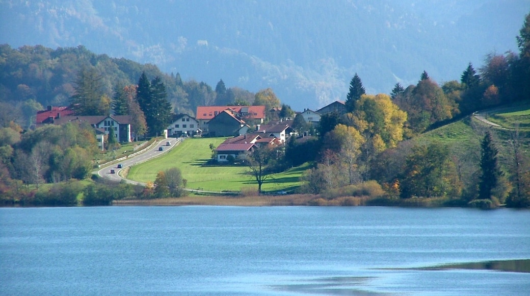 Photo "Immenstadt im Allgaeu" by Richard Mayer (CC BY) / Cropped from original