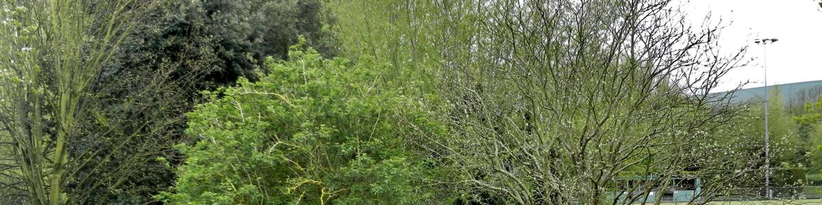 Photo "Lewes" by Tanya Dedyukhina (Creative Commons Attribution 3.0) / Cropped from original