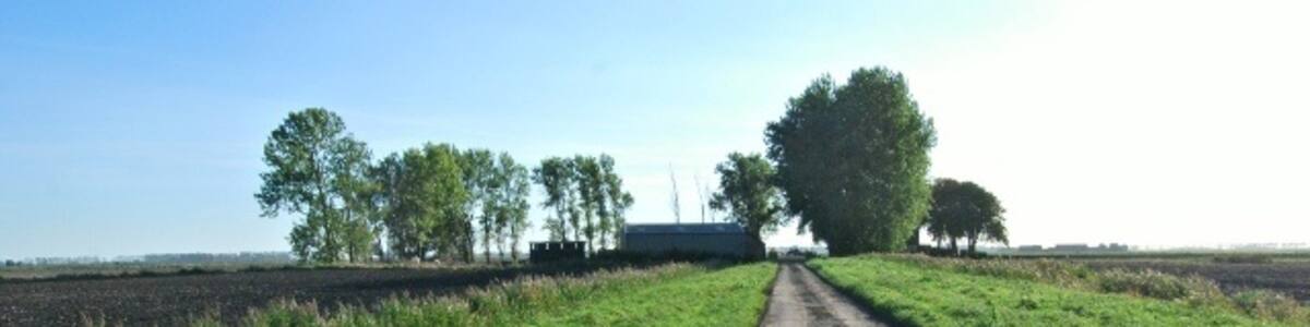 Photo "Bourne Farm drove Concrete Road leading through the farm, one of the few with trees in this empty landscape." by Lisa Wild (Creative Commons Attribution-Share Alike 2.0) / Cropped from original
