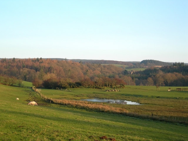 A Wee Wet Bit South Ayrshire has lots of "wee wet bits". This one is beside the Tranew Farm road. Cloncaird Castle is visible in the background.